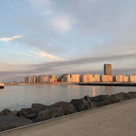 Nori Tv Ostend